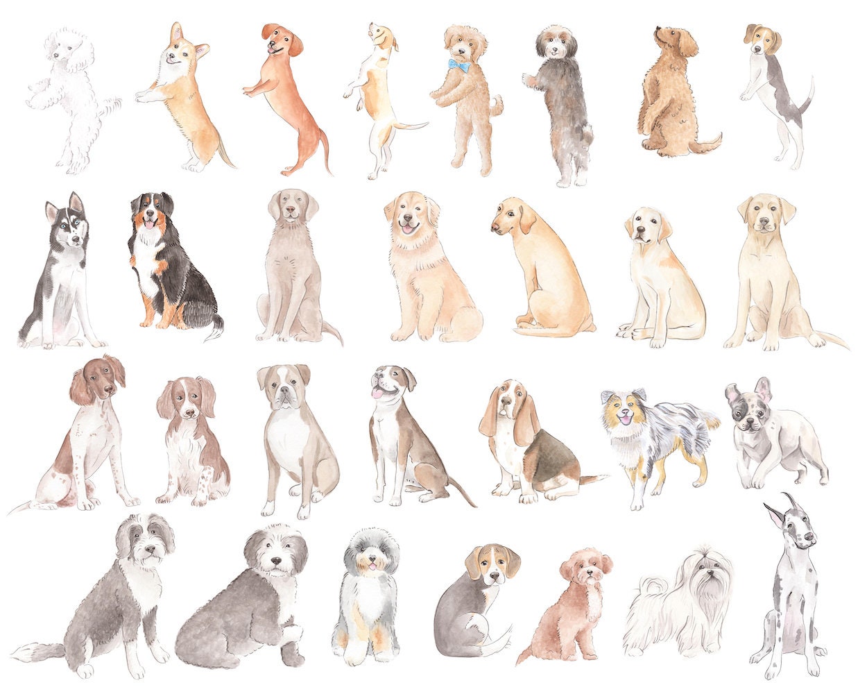 Parisian Chateau Dog Show Watercolor Art Print