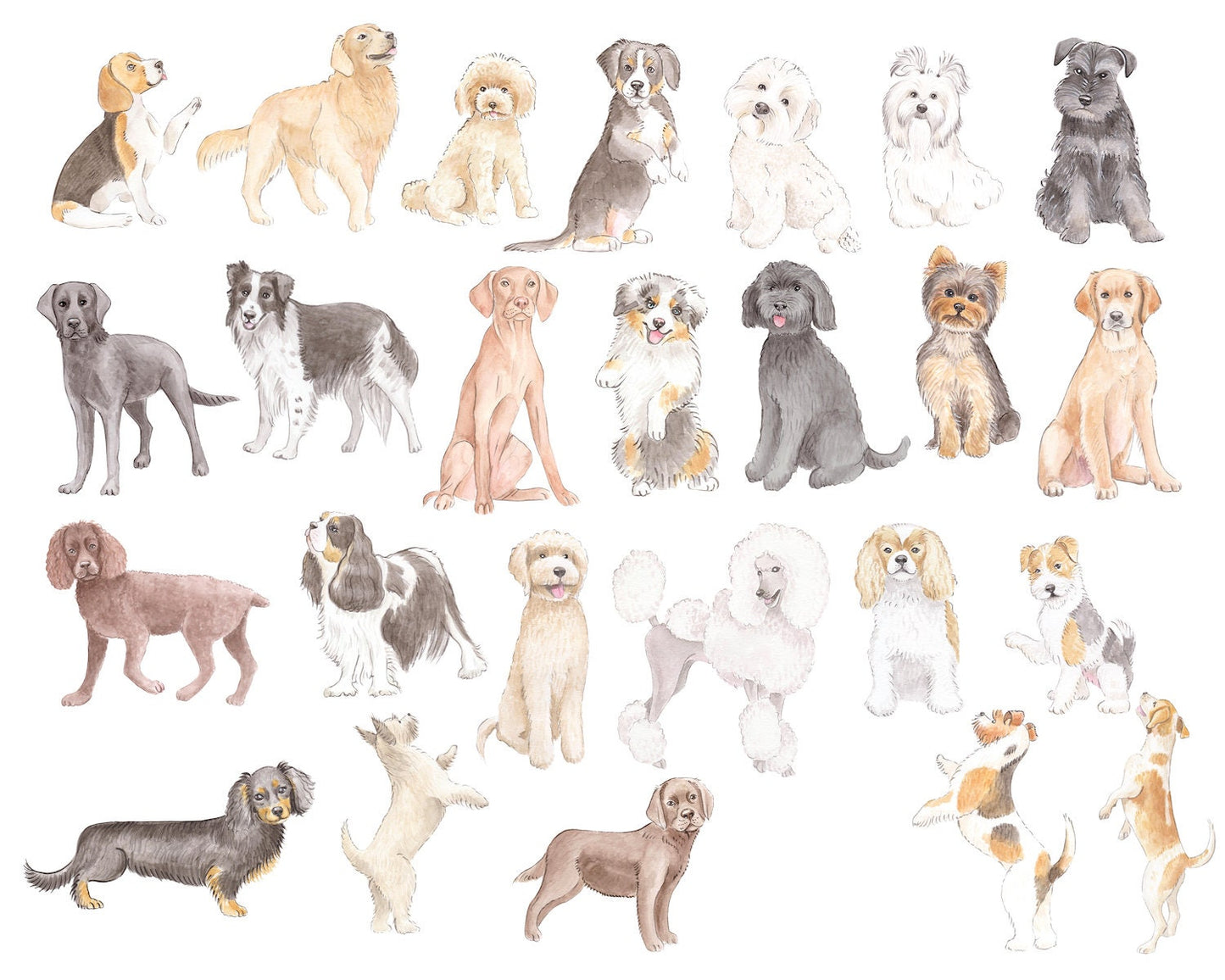 Parisian Chateau Dog Show Watercolor Art Print
