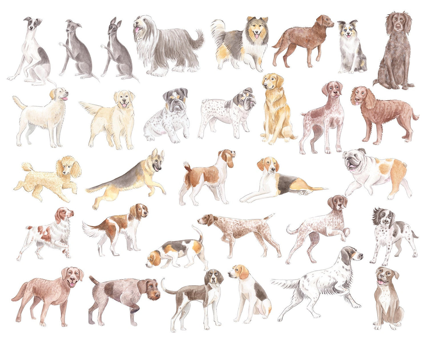 Parisian Chateau Dog Show Watercolor Art Print
