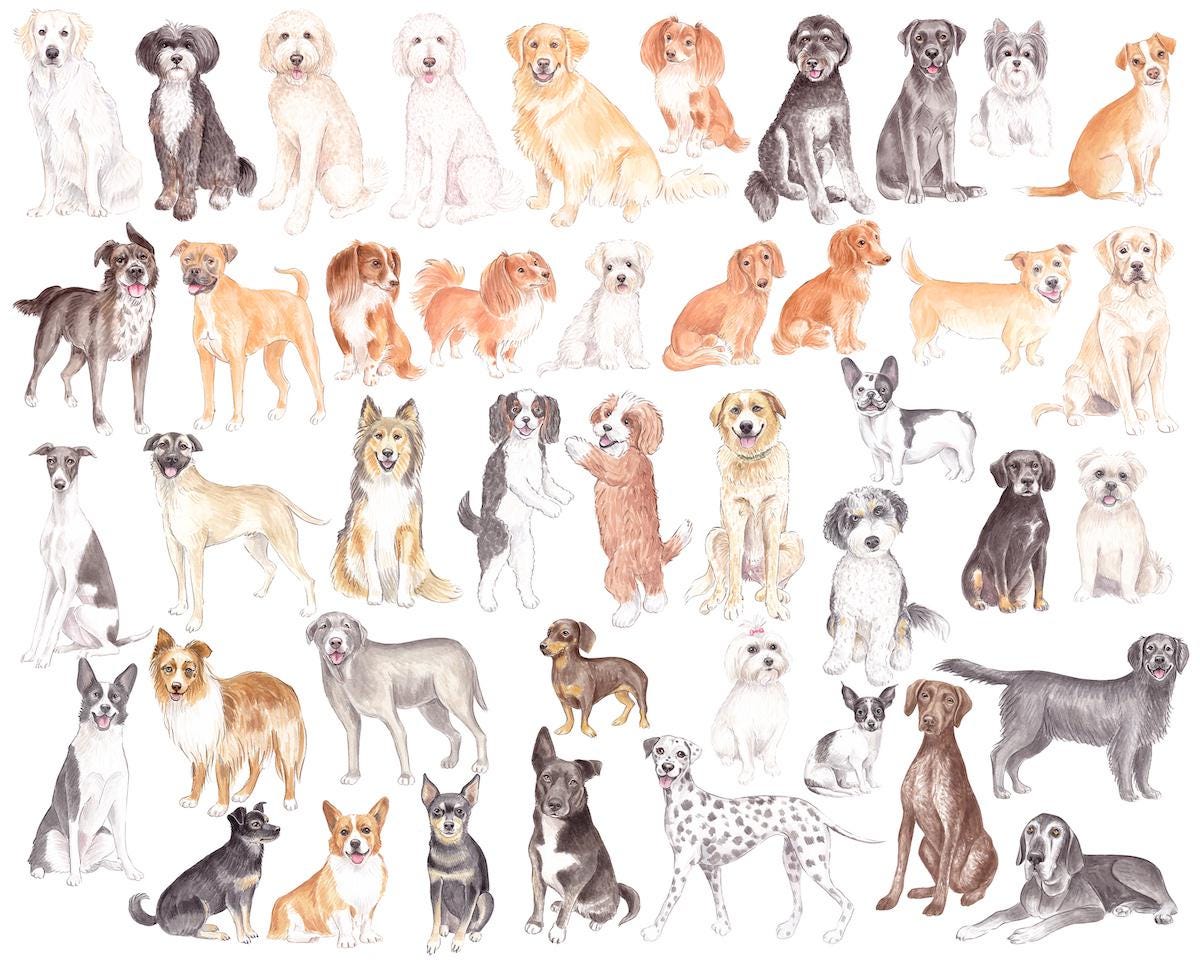 Parisian Chateau Dog Show Watercolor Art Print