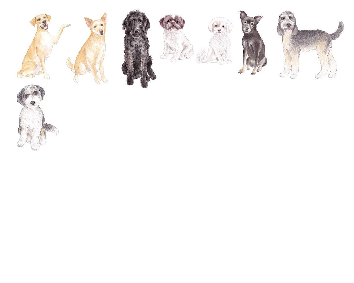 Parisian Chateau Dog Show Watercolor Art Print